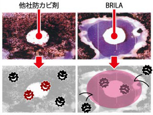 バリア効果の写真 BRILAと他社 比較